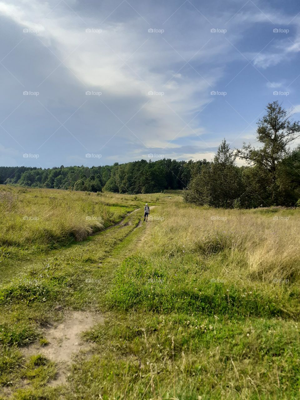 летняя прогулка