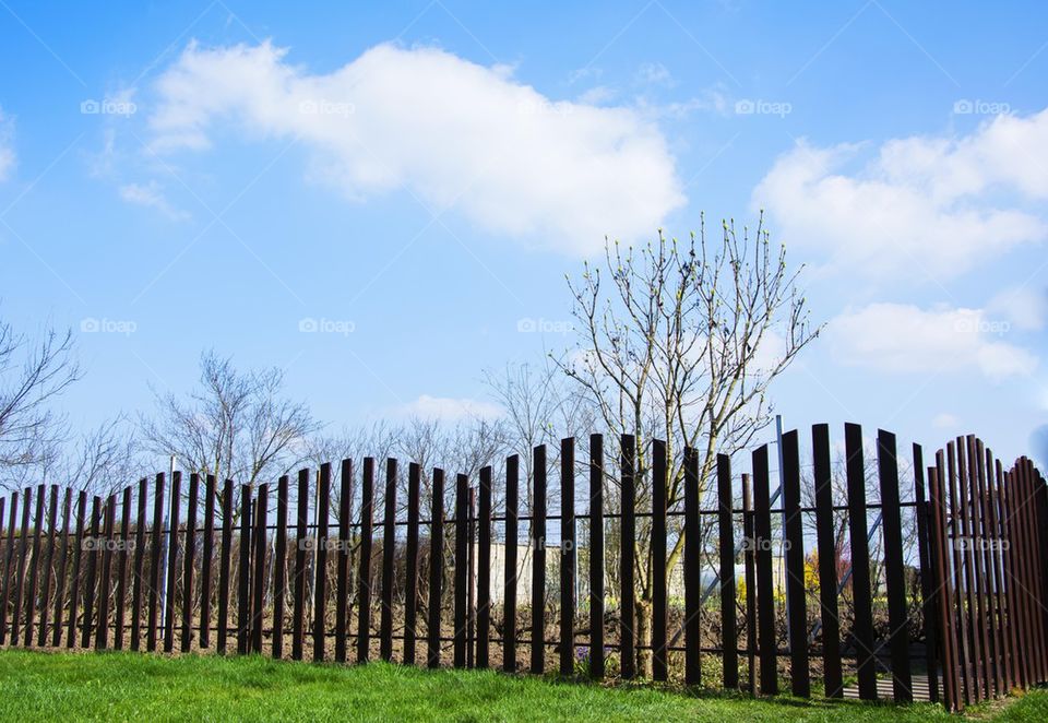 wooden fence and skies