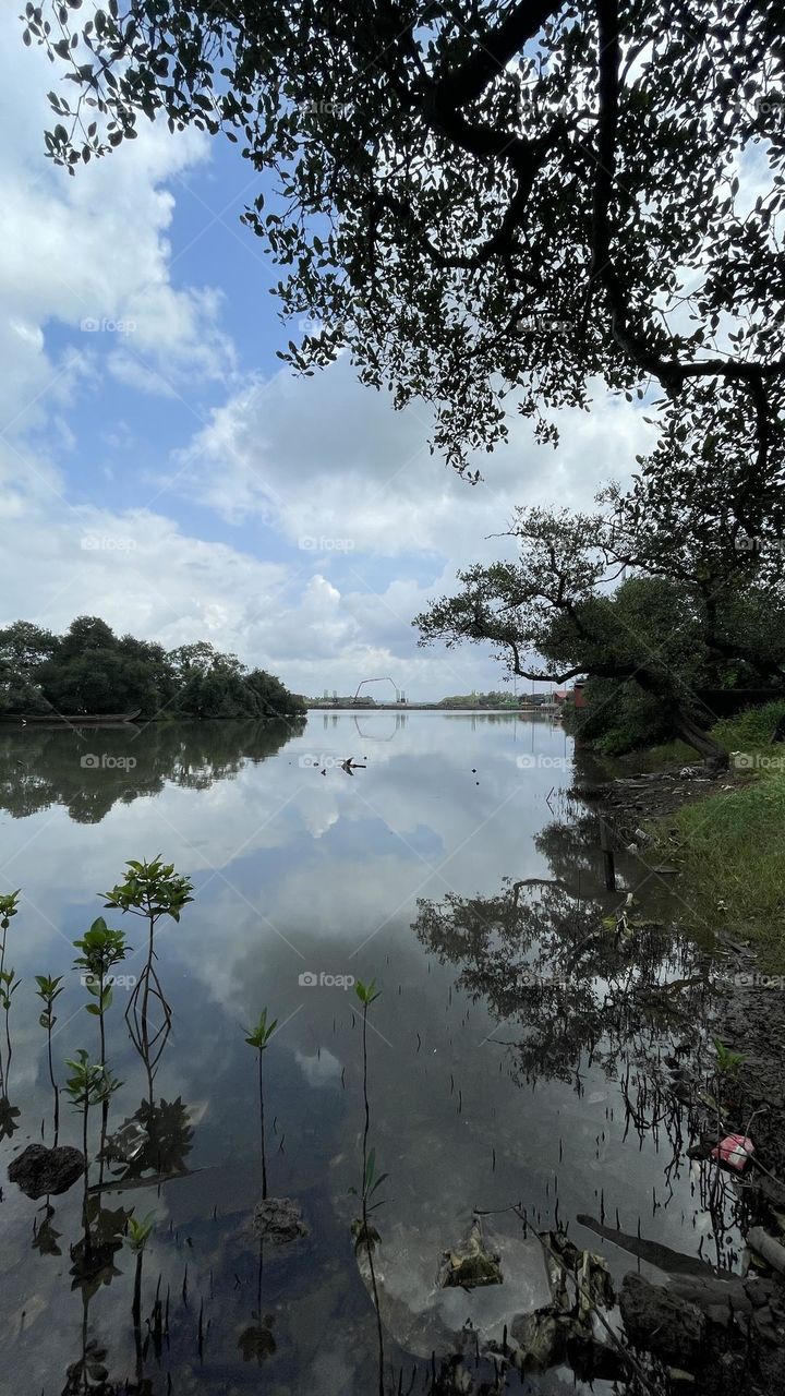 Kerala backwater Nature