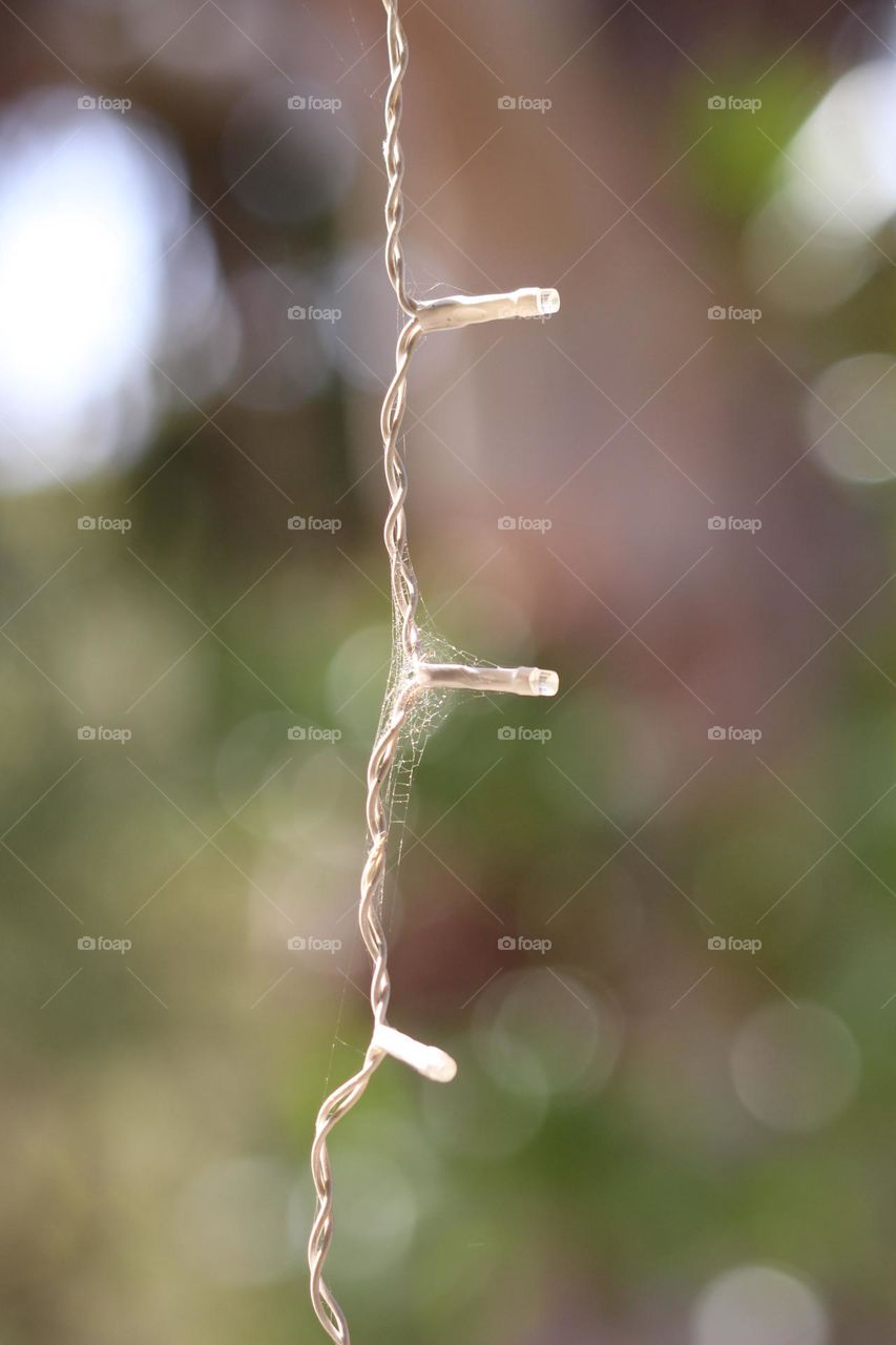 Dangling Christmas lights, spiderwebs entangled in them, abstract art in reality