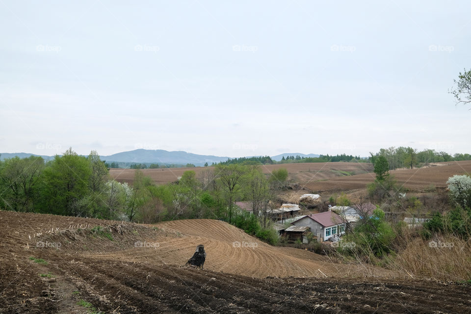 a Chinese village in spring