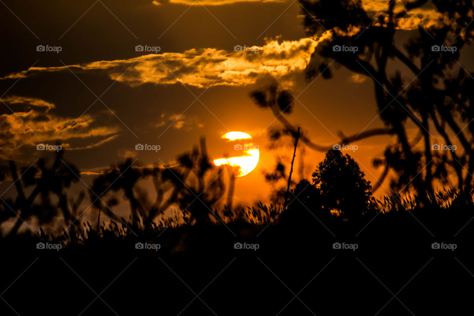 Pennington sunset