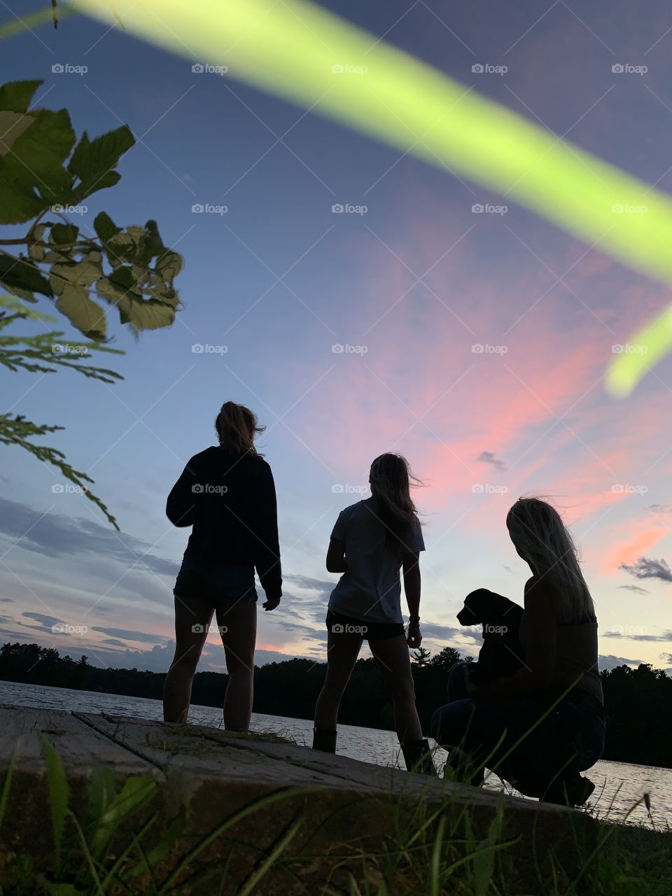 Just some friends taking in the sunset 