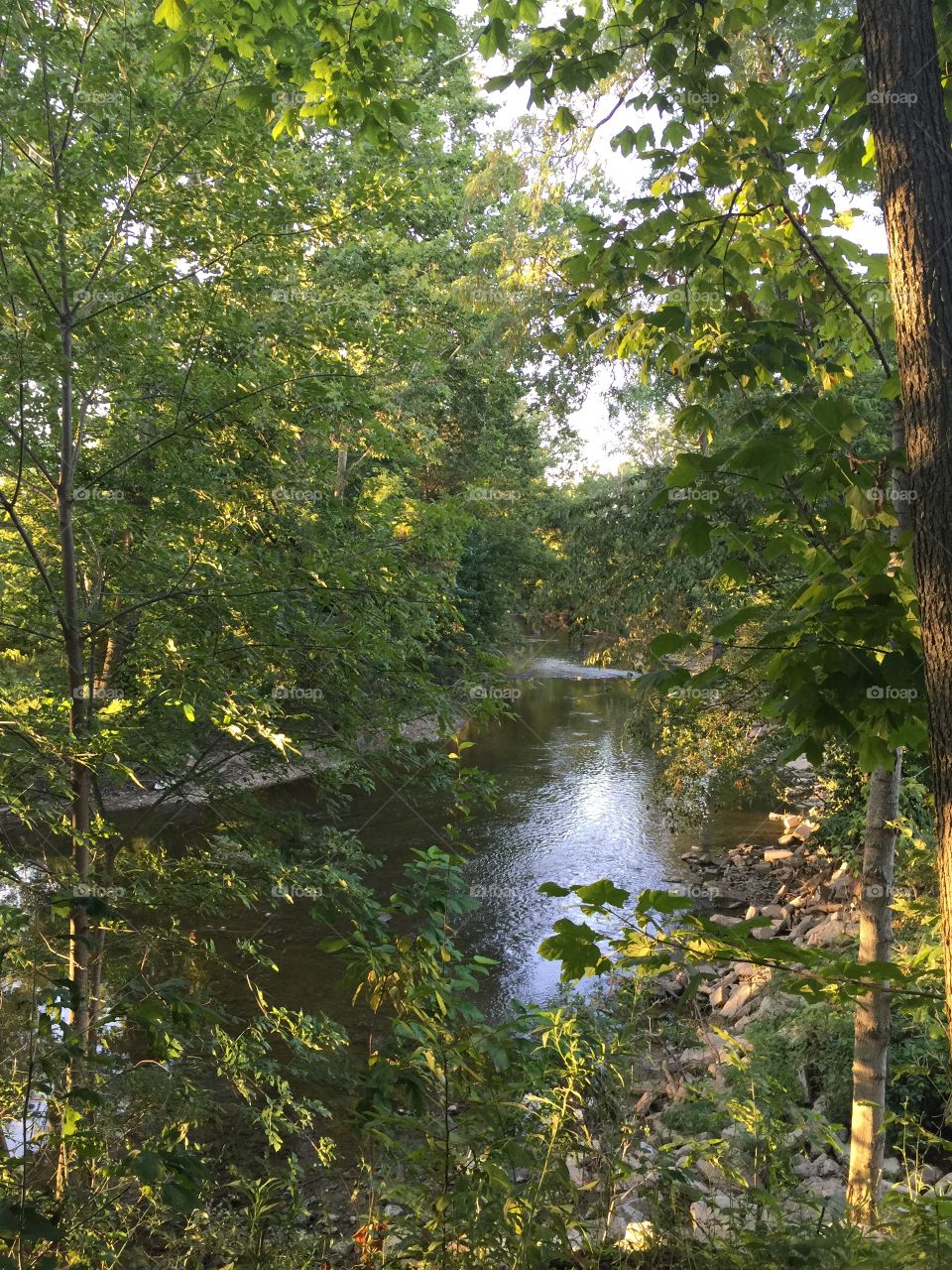 Dusk On The River