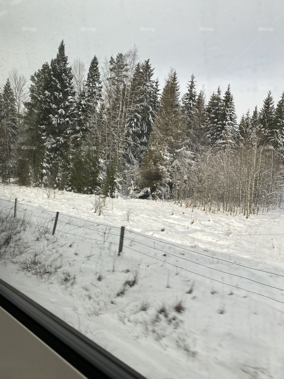 Swedish winter