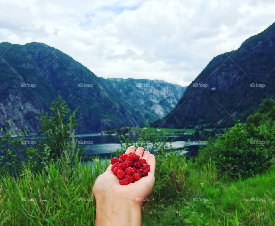 Woman's hand with fresh berries in outdoors