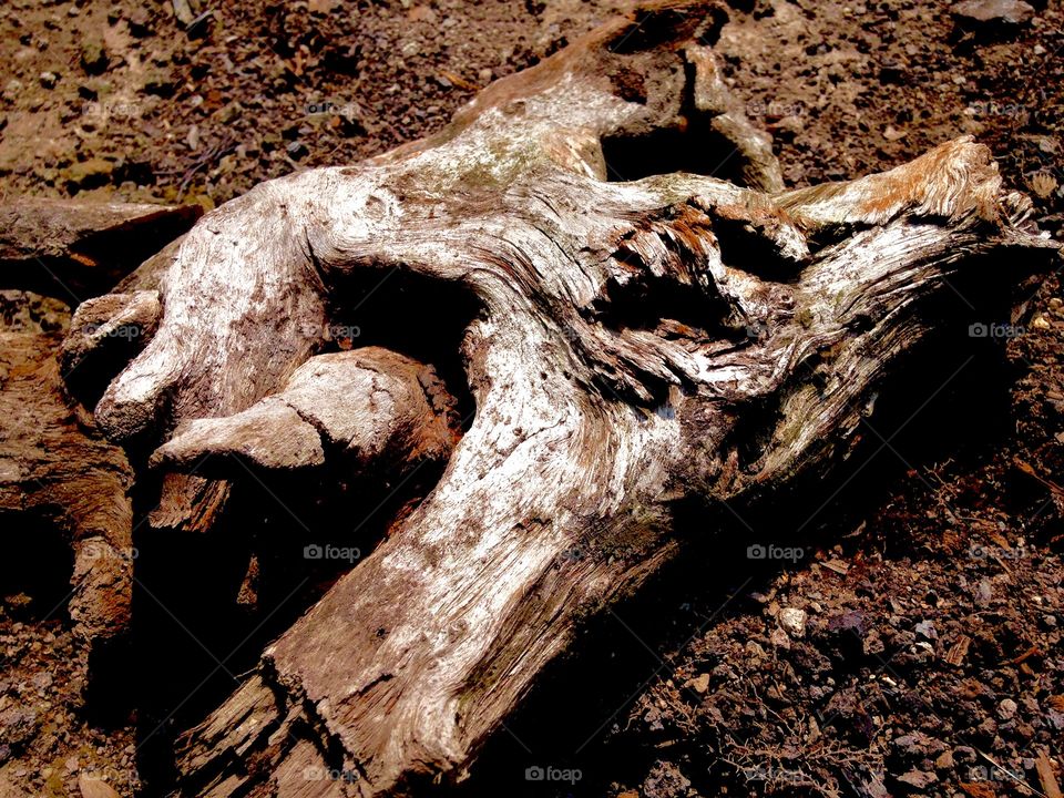 line art and wood shadows