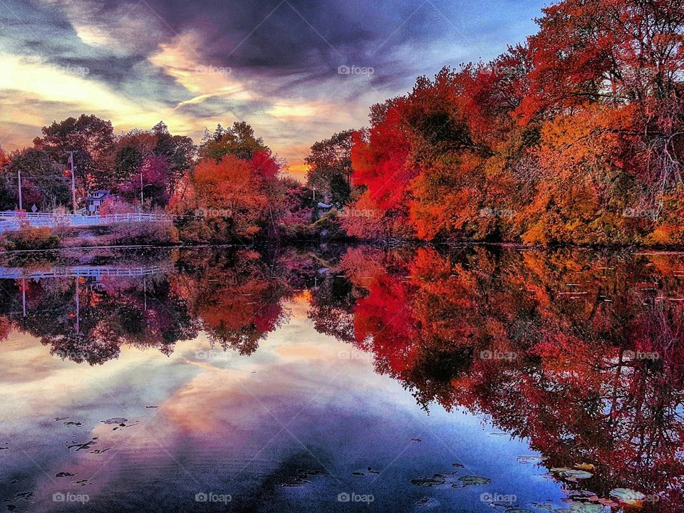 Fall, Landscape, Tree, No Person, Nature