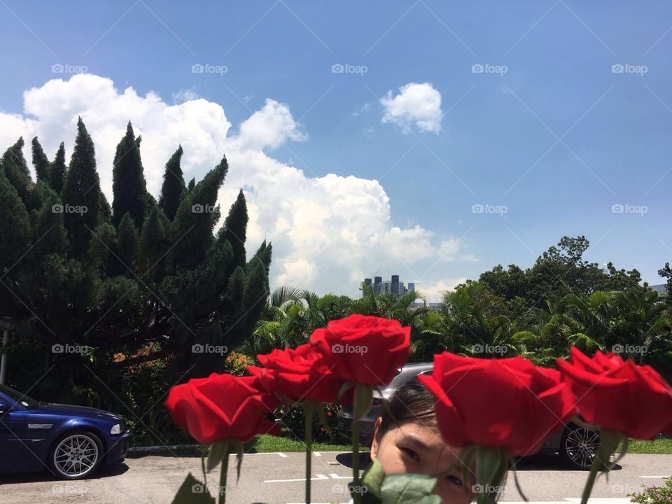 roses and the sky