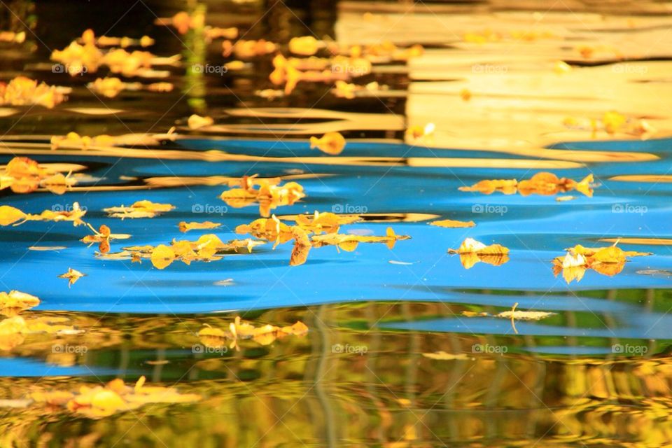 Colors on the water