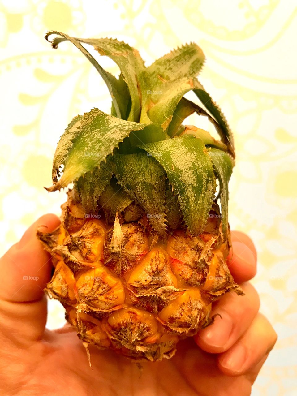 small pineapple