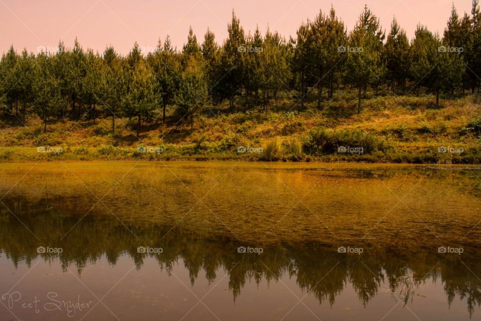 fall time near water