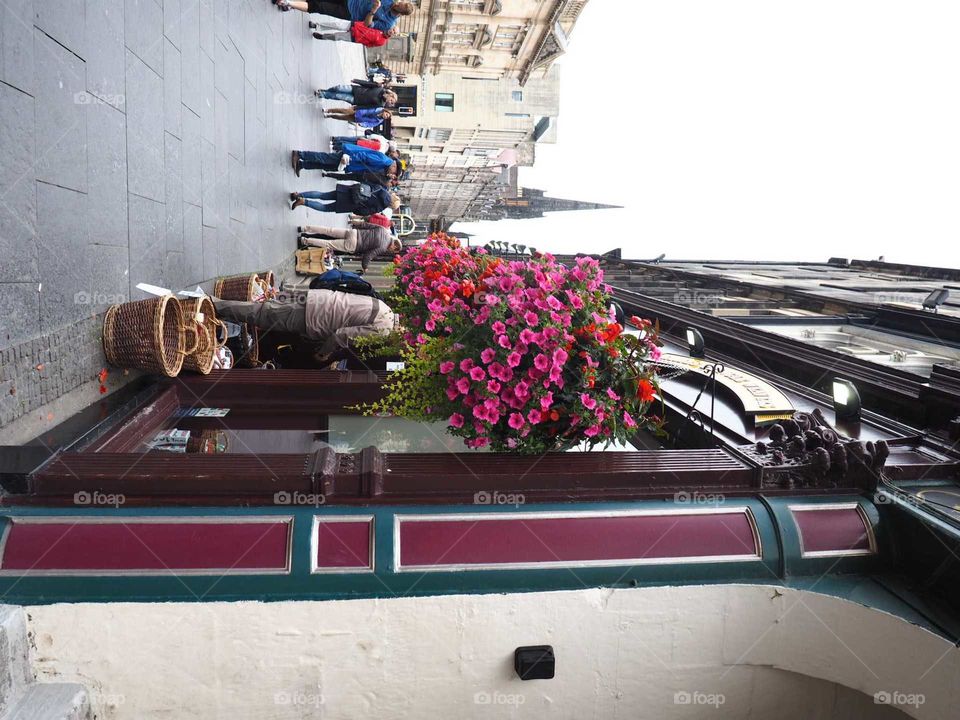 Colorful flowers in front of traditional pubs in Edinburgh, Scotland.