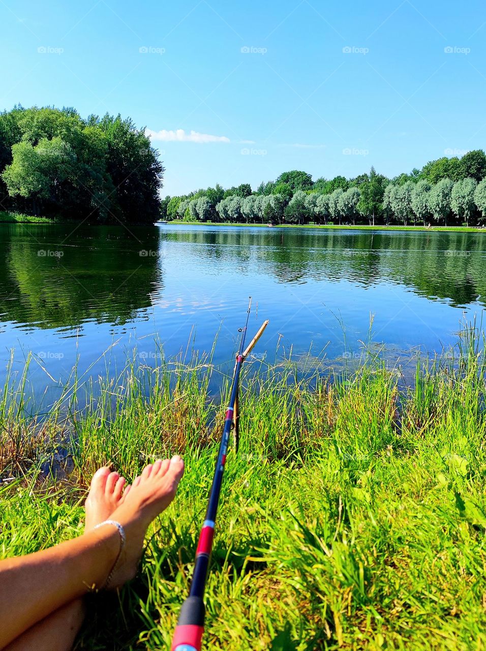 Summer in the city.  Fishing.  Pond in the park.  Tanned legs are visible on the green grass of the shore of the pond.  There is a fishing rod nearby.  Green trees and blue sky reflected in the water