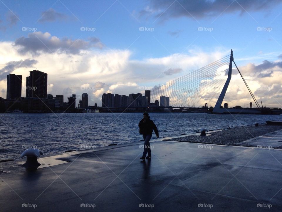 Quay Rotterdam