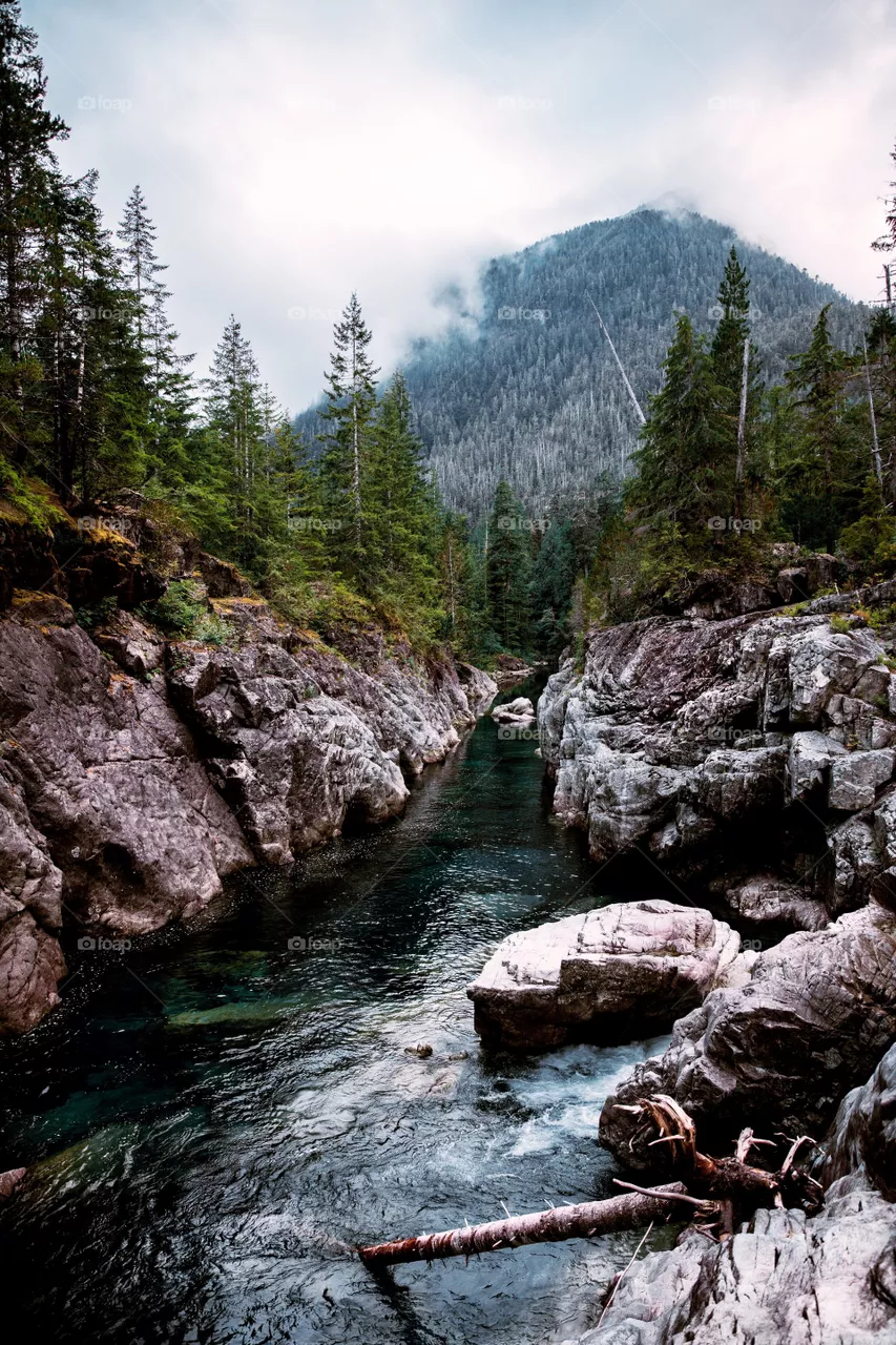 forest river