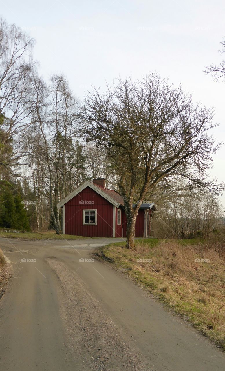 red cottage in the woods