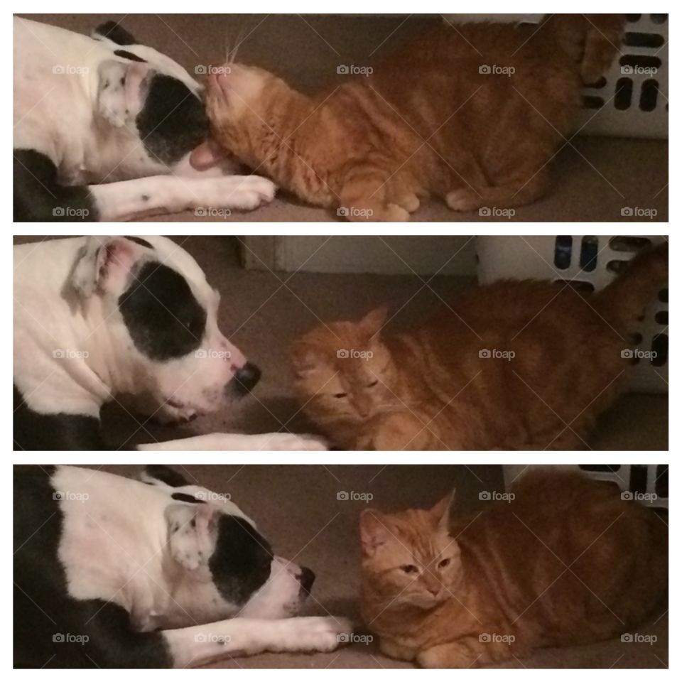 This is an every day event in my house