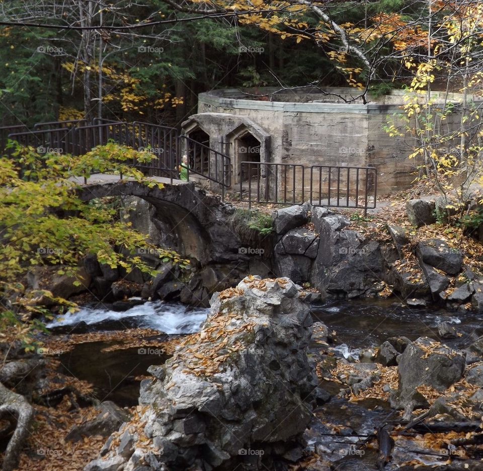 Gatineau Park Quebec