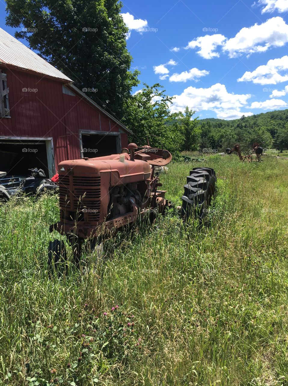 Left behind - this tractor was being taken over by rust and grass.  This whole farm was in a sad state. 