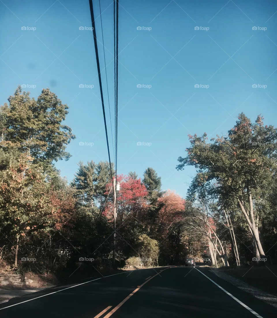 Fall 