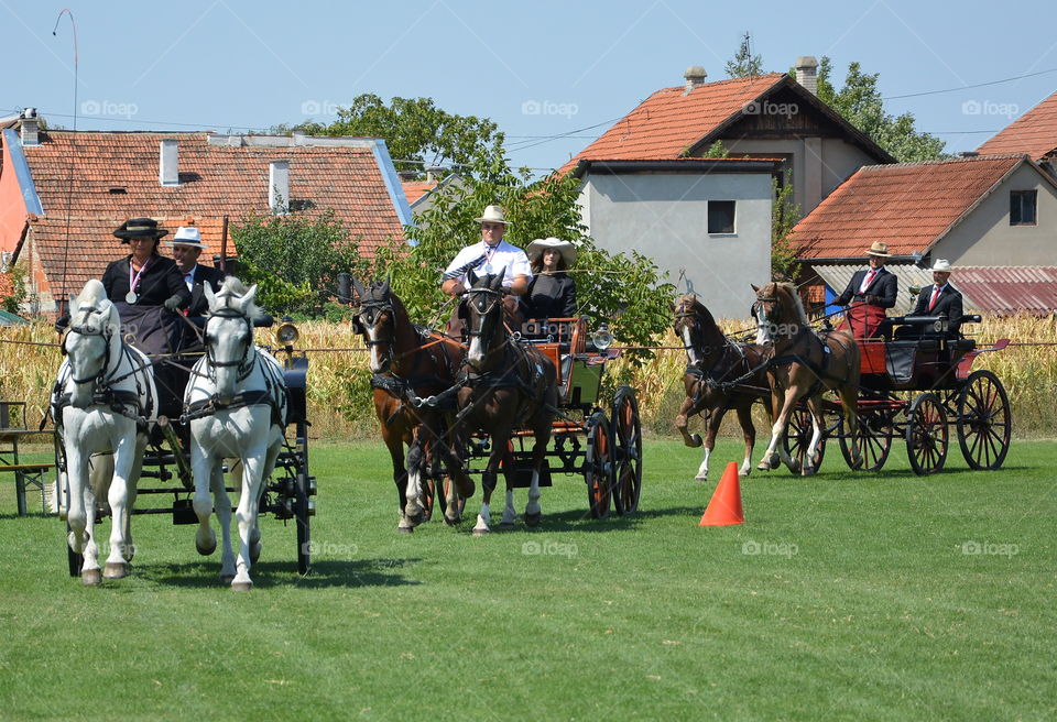 Cavalry, Military, People, Competition, Horse