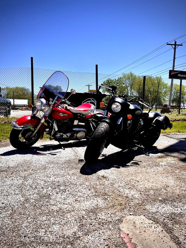 Sunny cruise