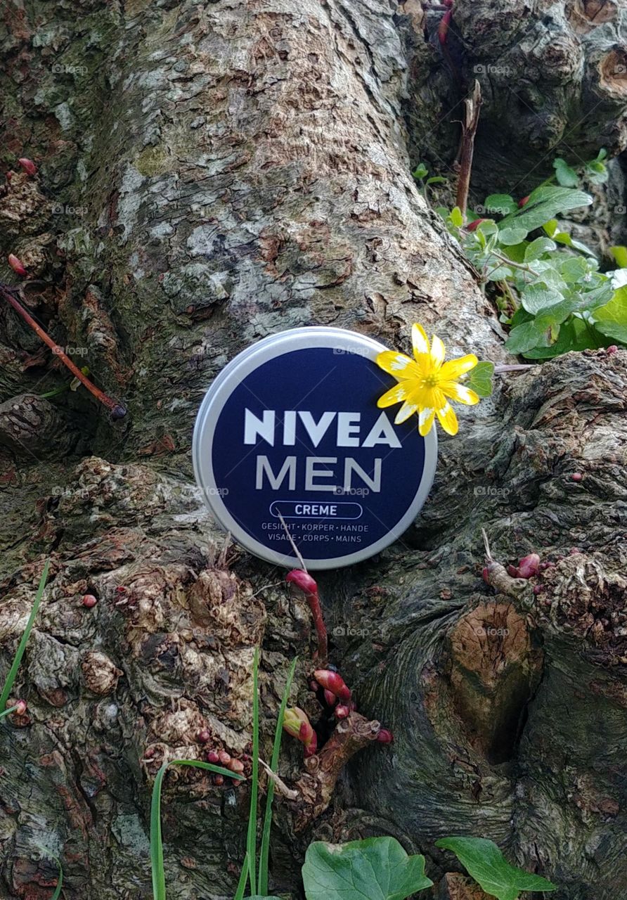 flower spring grün bam