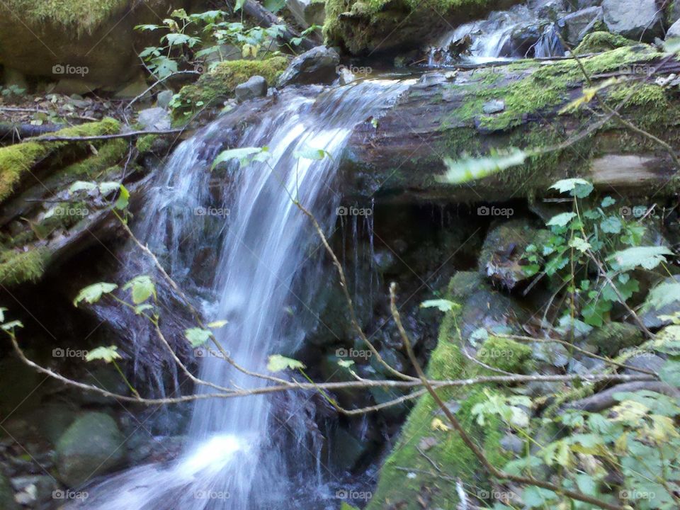 Stream, Waterfall, Water, Nature, Wood