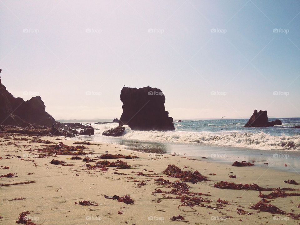 At the Beach