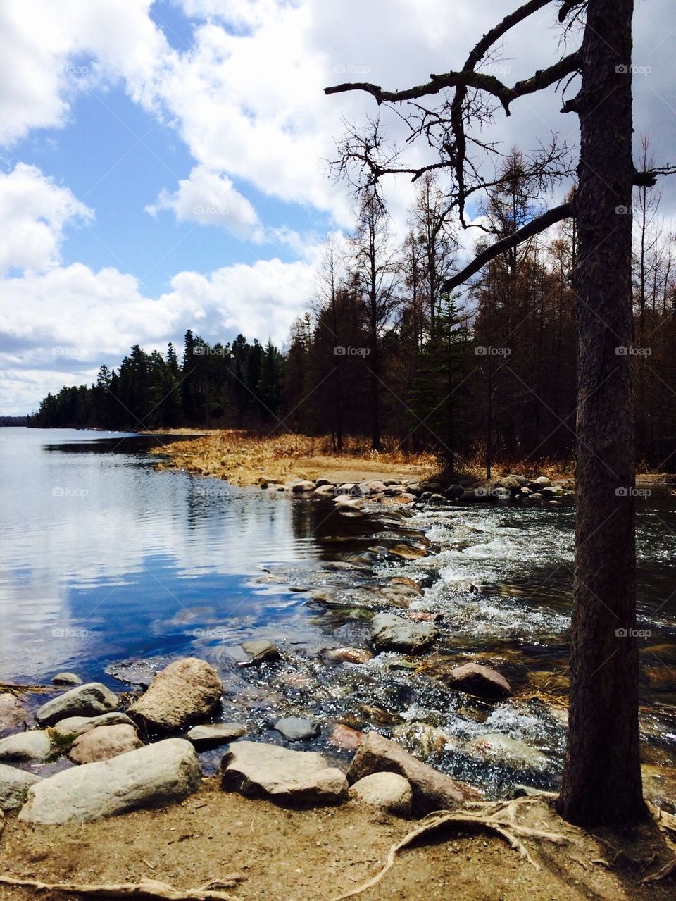Clouds reflecting in lake