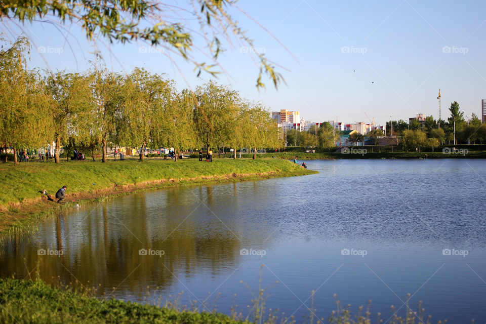 Landscape, nature, trees, tree, grass, sky, sun, water, reflection in the water", sun rays, park, people, life, life style,