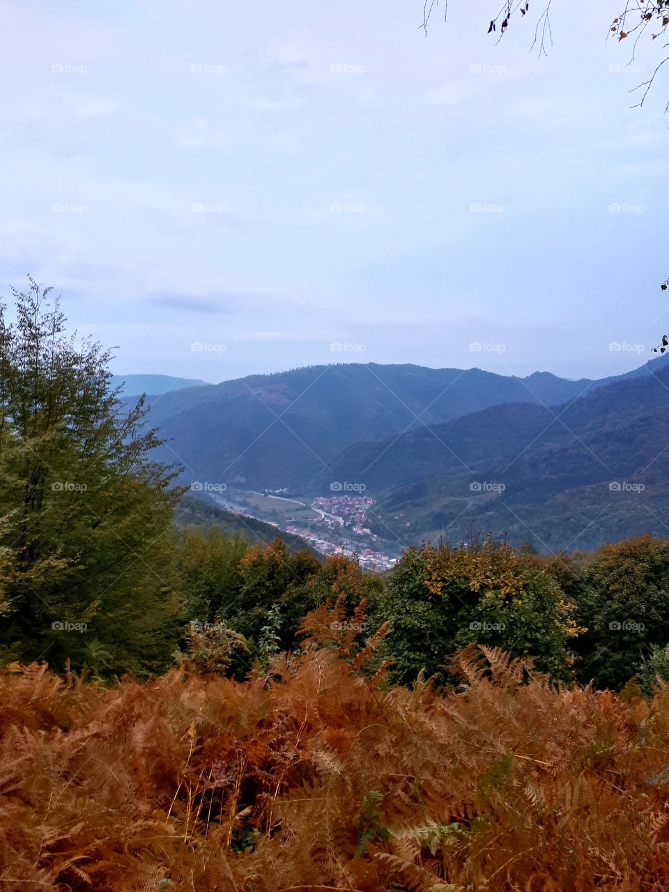 a view of Nemila, the river Bosna and the surrounding hills