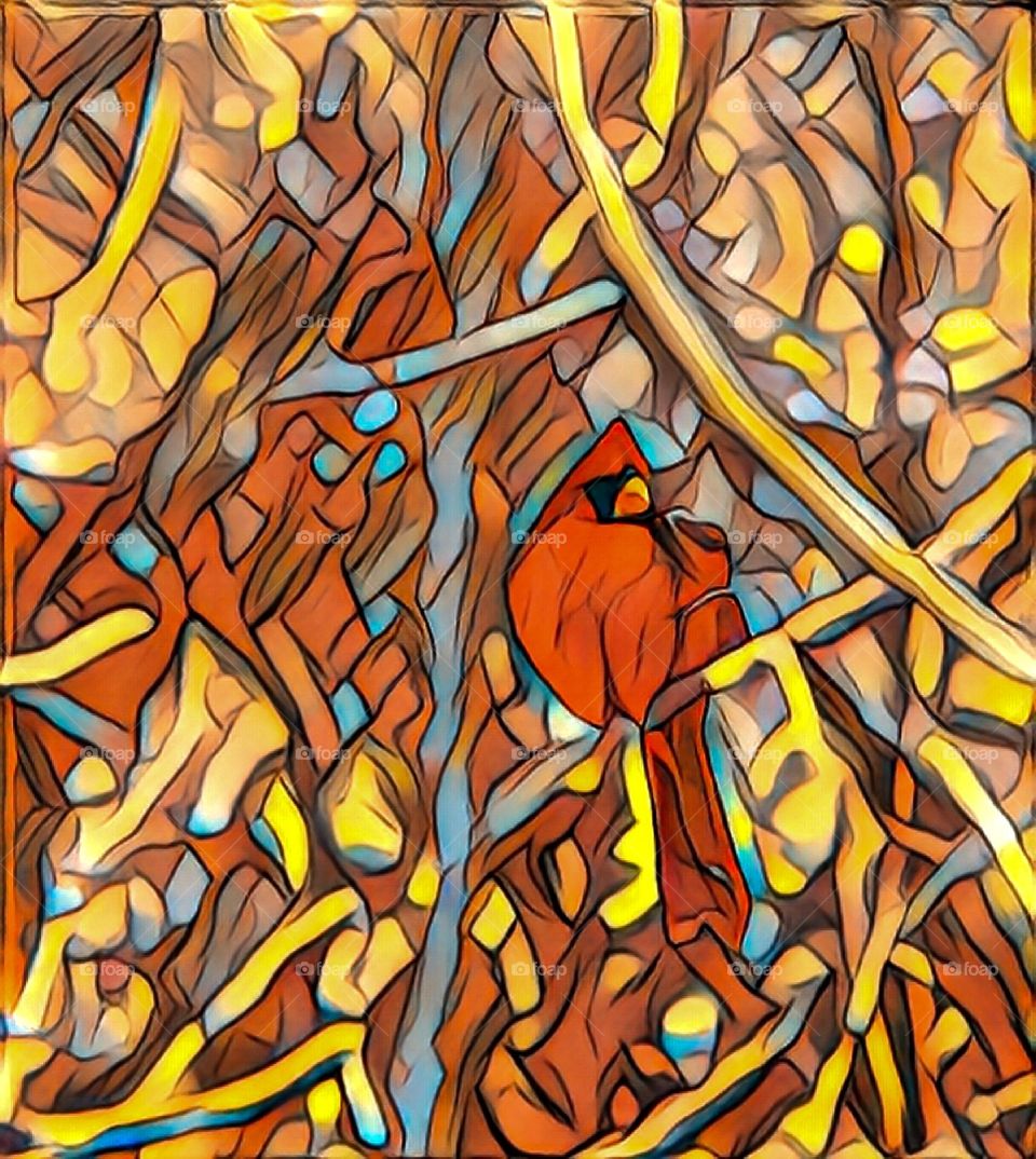 Redbird Abstract 