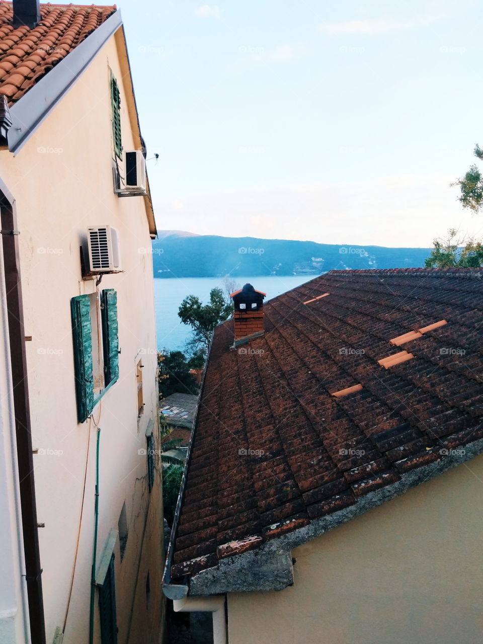sea and roofs