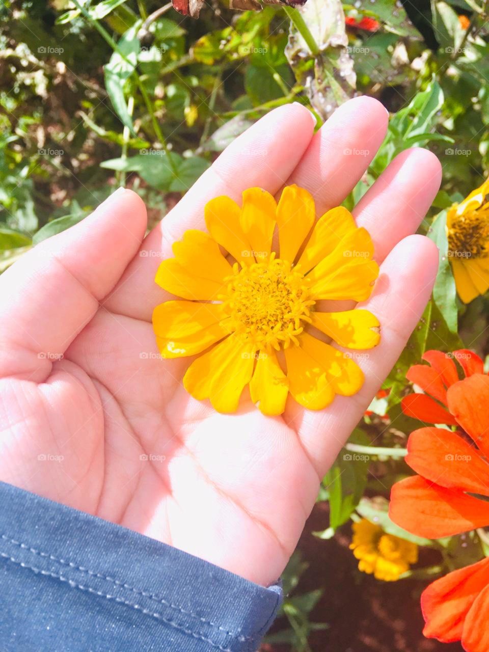 A beleza está nos detalhes