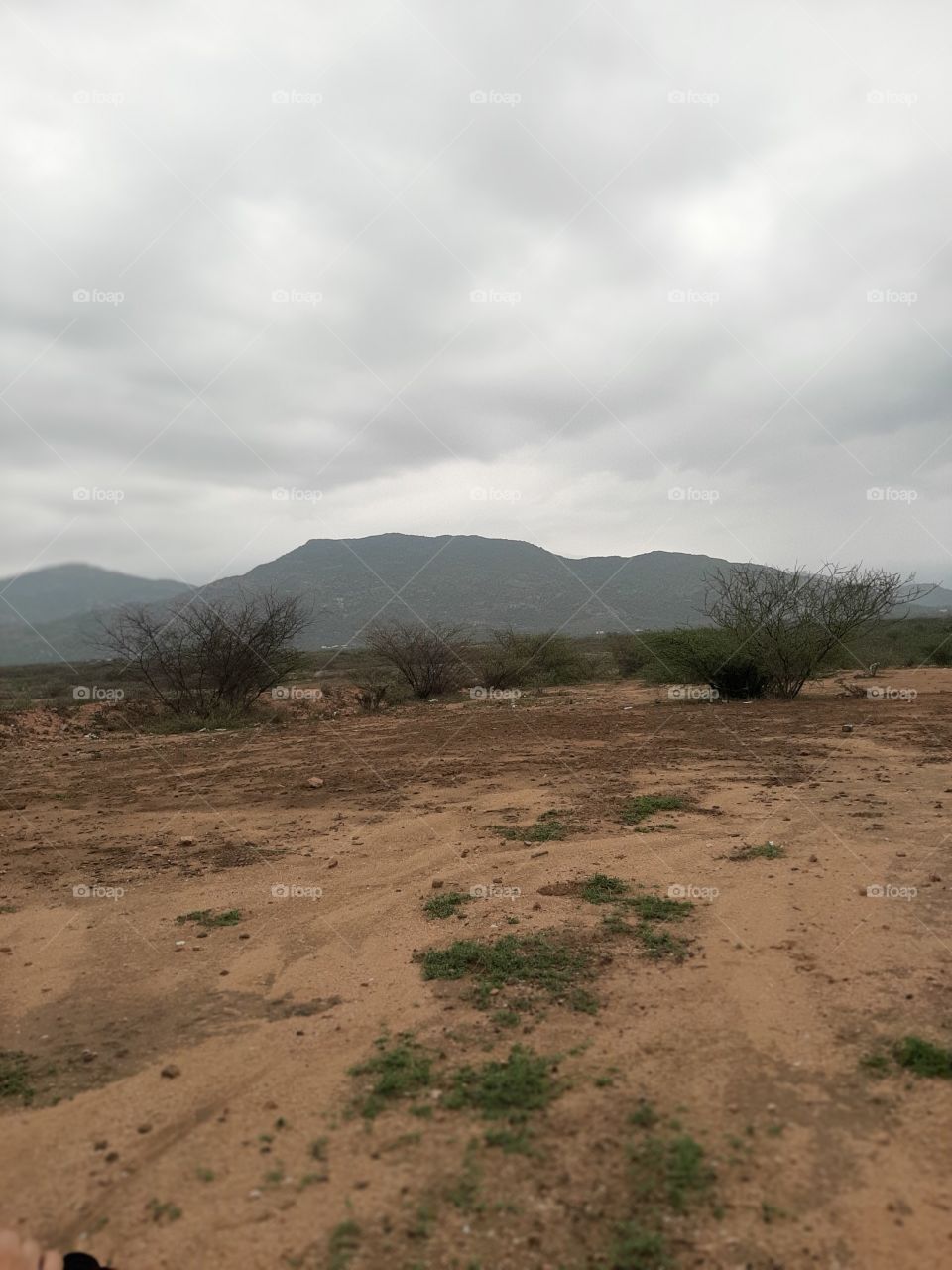 I am poor. I want your support. Stop it