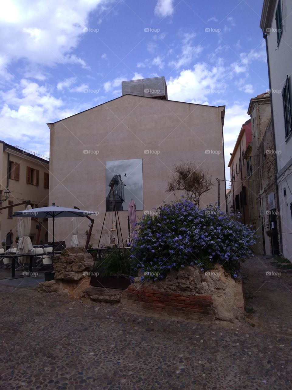 Best of 2021: Nature