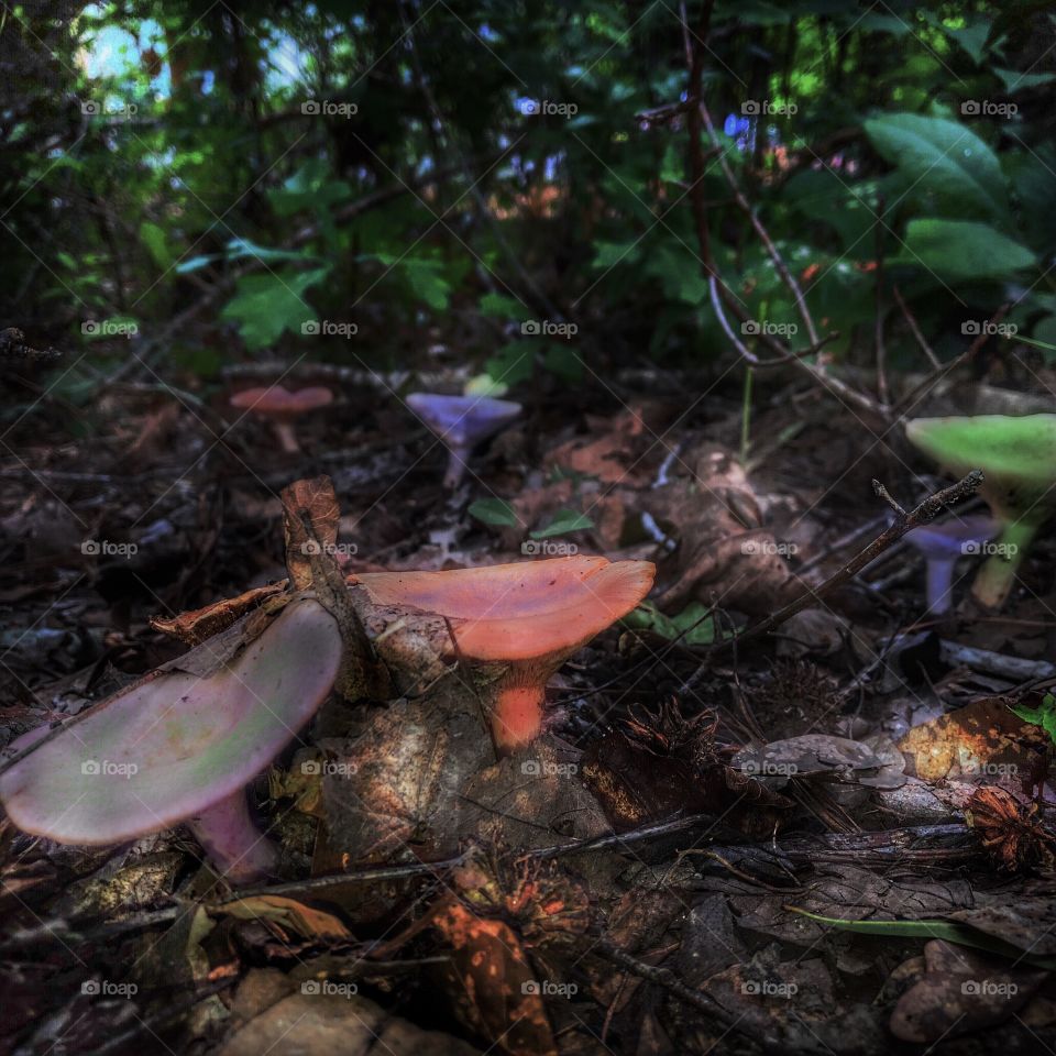 You don’t need theses- deep inside my daydream...