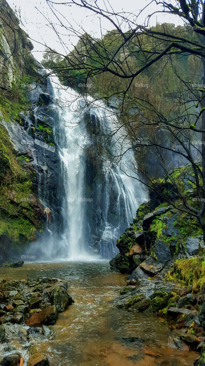 Waterfall in forest