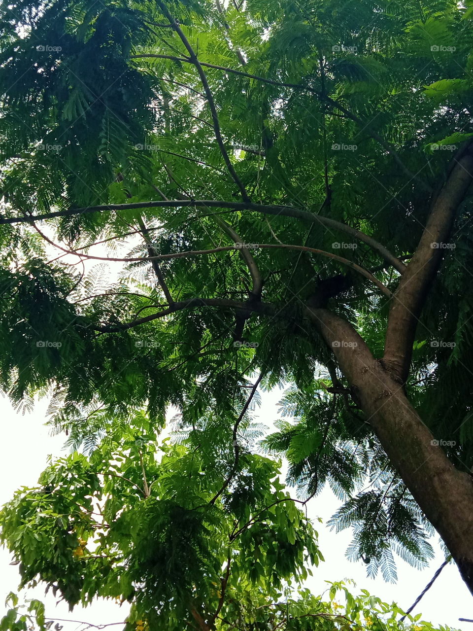 Monsoon gives life back after the scorching heat of summer