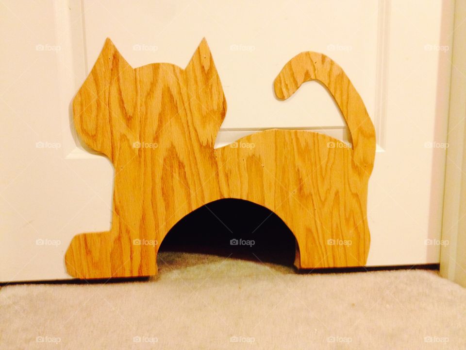 Crafty  pet door for entry to cat box room

