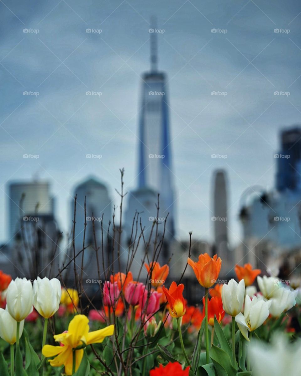 Loving these flowers! 