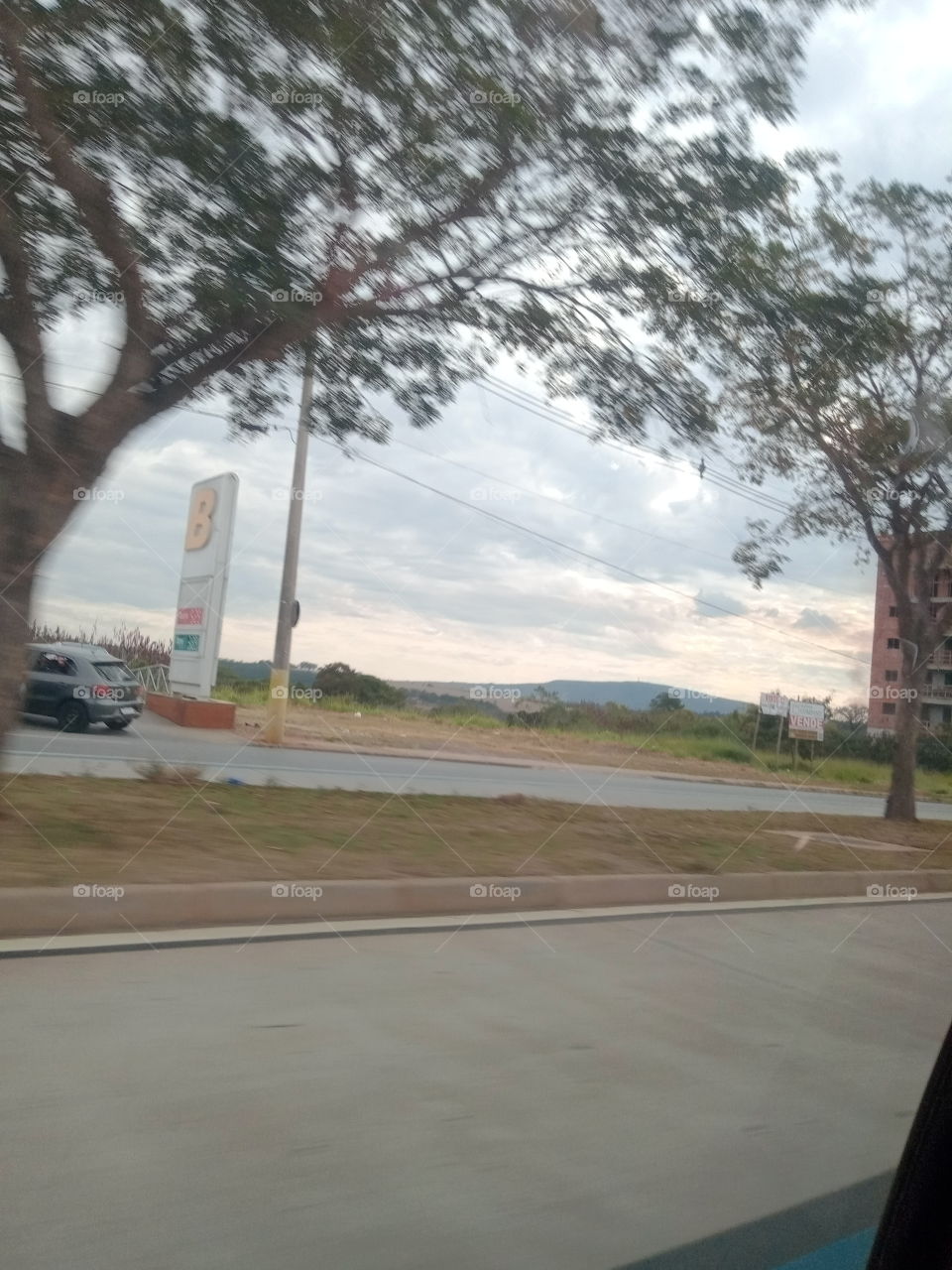 True Nature, No Filters # Truephotos