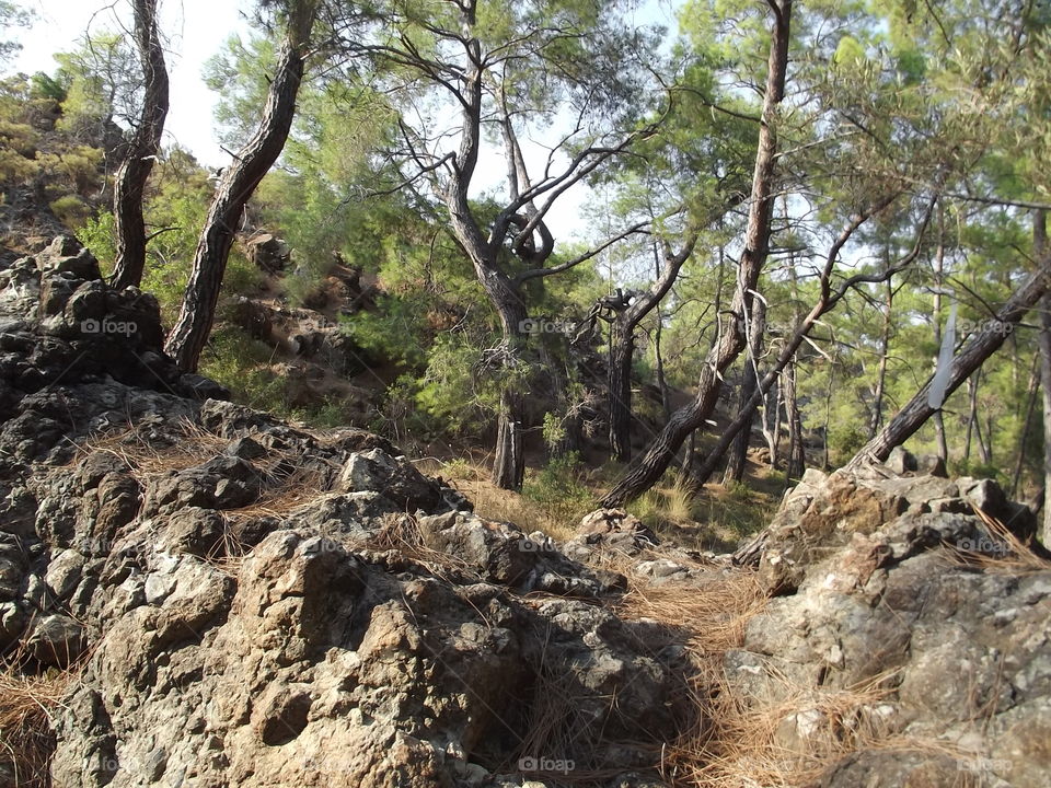 awesome beaches and cliffs