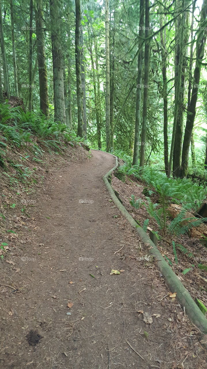 path on the hillside