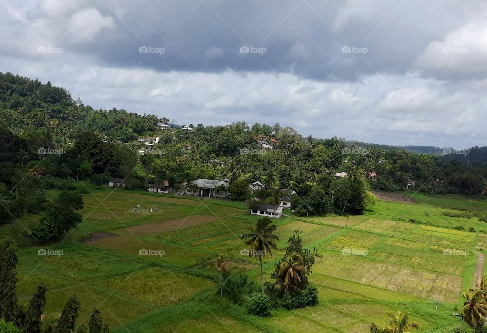 green environment makes cool feelings