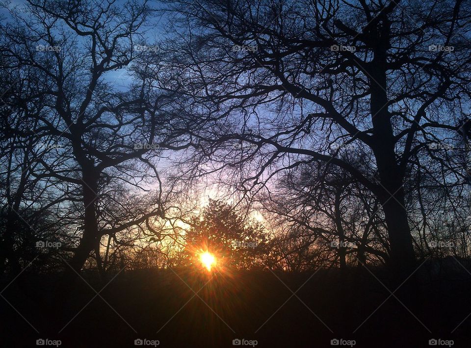 Winter sunset, Chertsey, England