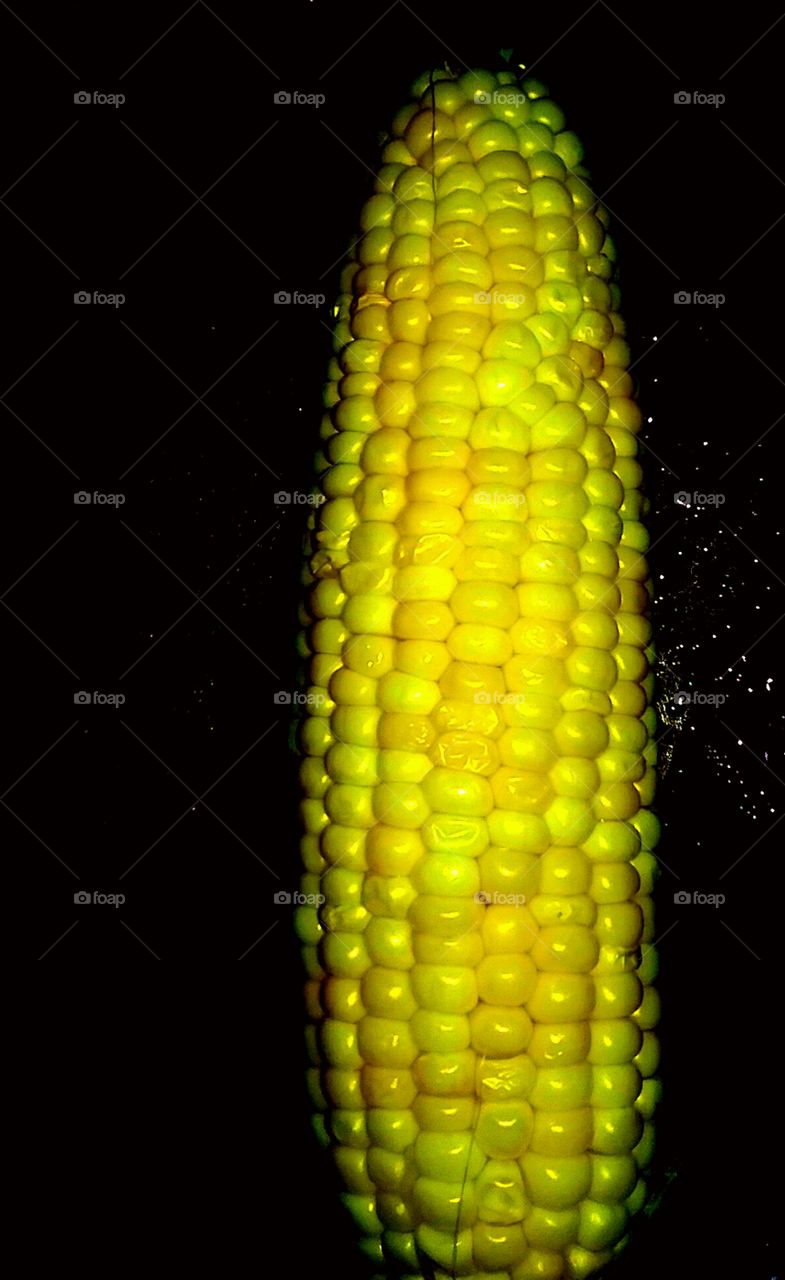 fresh corn on the cob