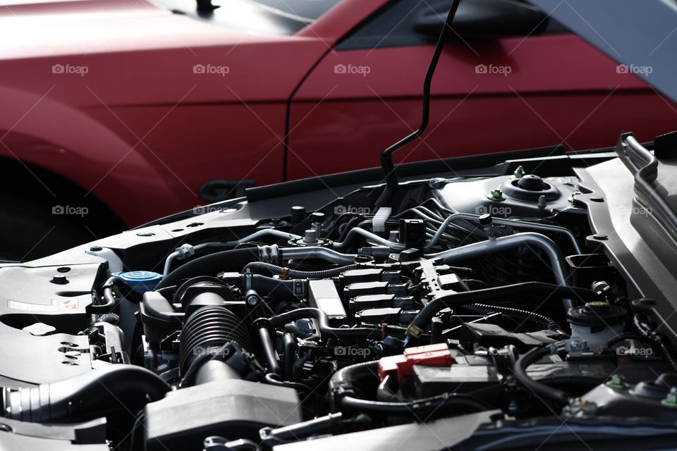 The hood to a Honda Accord is open next to  Ford Mustang as the owner prepares to give a jump start.